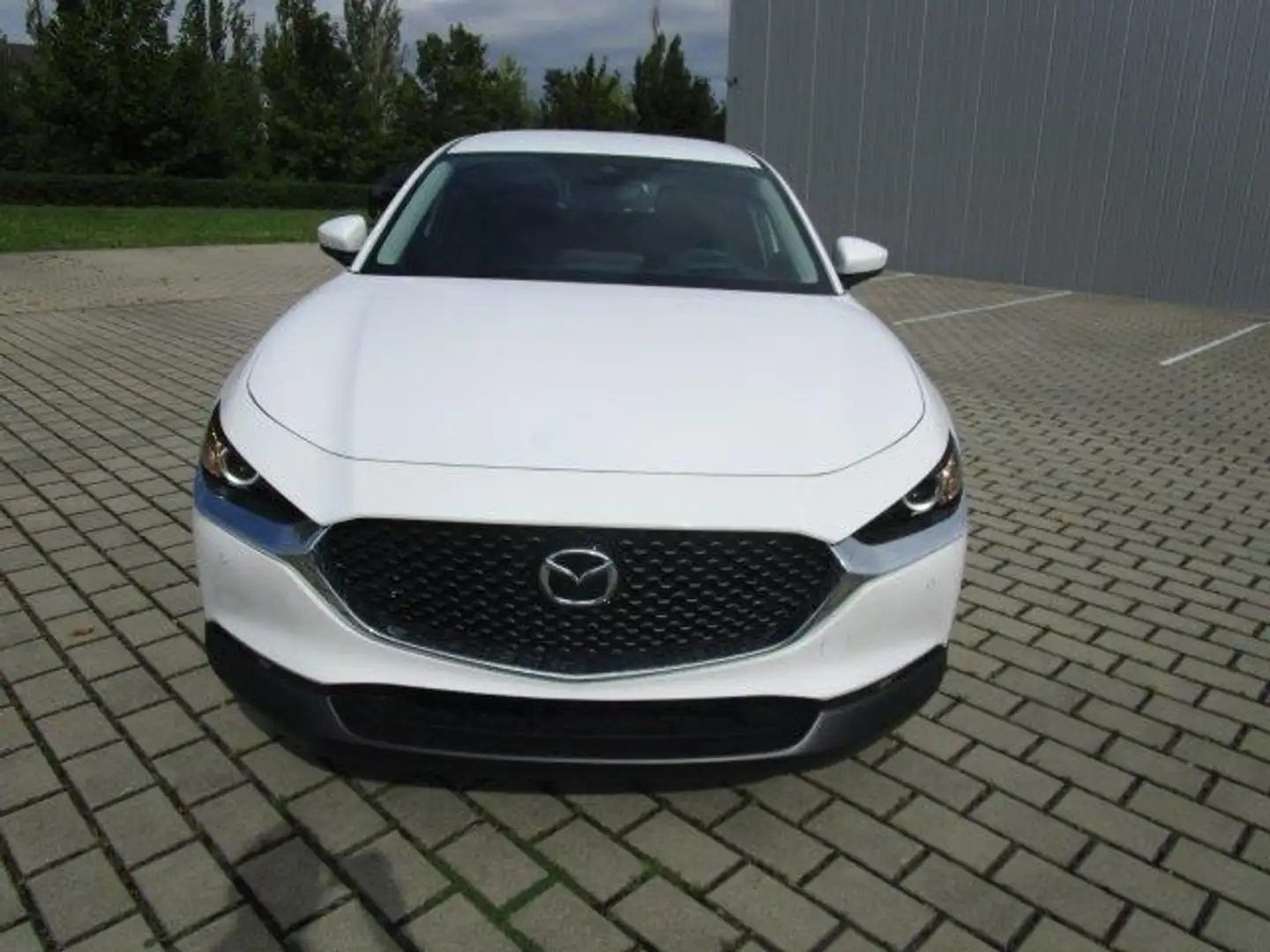 Mazda CX-30 SKYACTIV-G 2.0 150PS M Hybrid Selection Automatik Weiß - 2