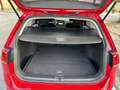 Volkswagen Golf Variant 1.6TDI CR BMT Bluemotion 110 Rojo - thumbnail 6