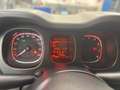 Fiat Panda 4x2 FireFly Hybrid 70 Plus Weiß - thumbnail 8
