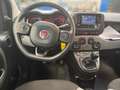 Fiat Panda 4x2 FireFly Hybrid 70 Plus Weiß - thumbnail 7