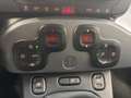 Fiat Panda 4x2 FireFly Hybrid 70 Plus Weiß - thumbnail 14