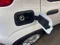 Fiat Panda 4x2 FireFly Hybrid 70 Plus Weiß - thumbnail 13
