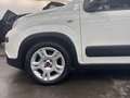 Fiat Panda 4x2 FireFly Hybrid 70 Plus Weiß - thumbnail 12