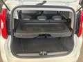 Fiat Panda 4x2 FireFly Hybrid 70 Plus Weiß - thumbnail 11