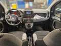 Fiat Panda 4x2 FireFly Hybrid 70 Plus Weiß - thumbnail 6
