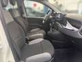 Fiat Panda 4x2 FireFly Hybrid 70 Plus Weiß - thumbnail 10