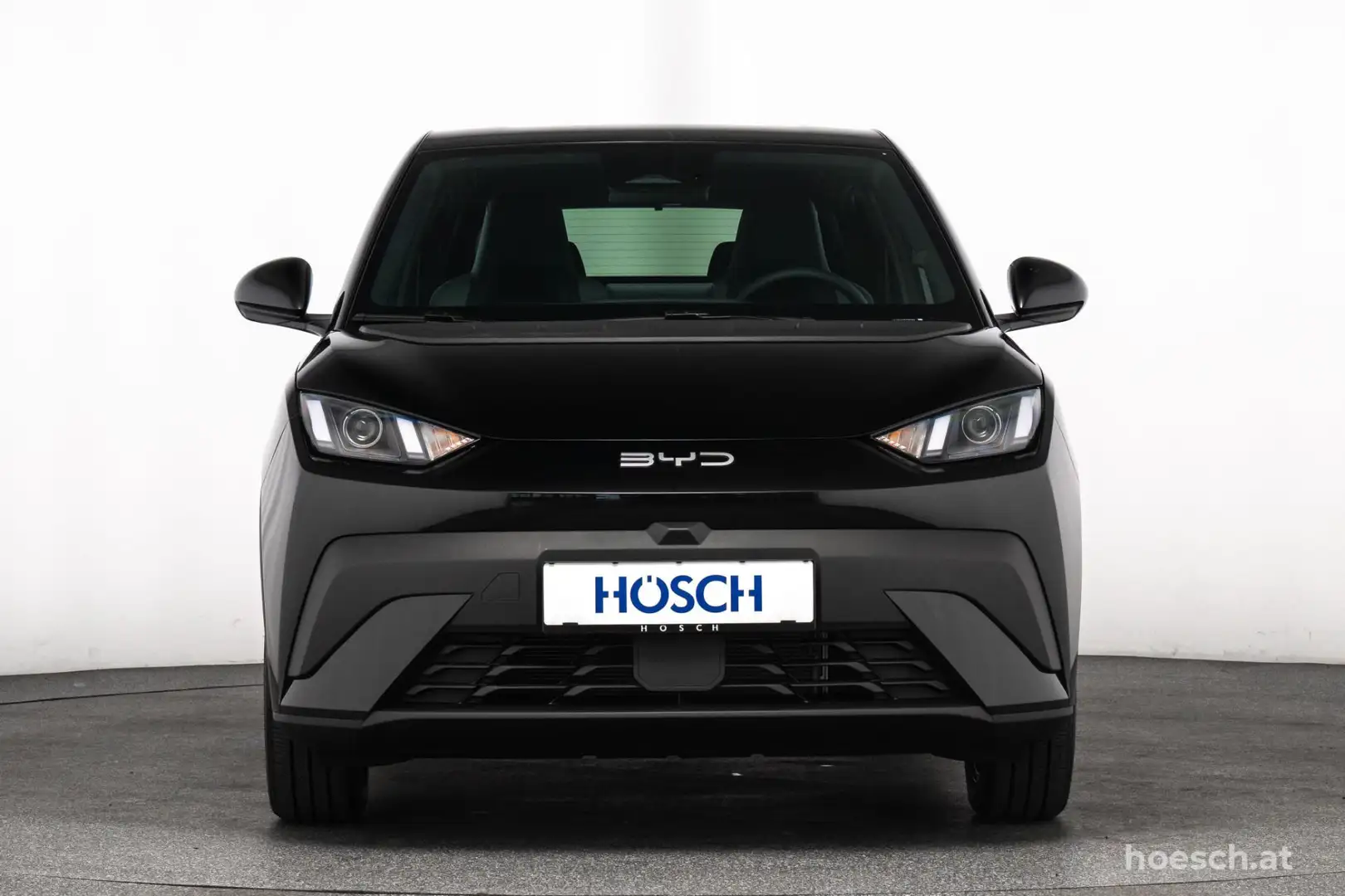 BYD Dolphin Surf BOOST 43 kWh LEDER KAMERA ASSISTENZ Schwarz - 2
