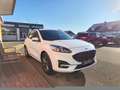 Ford Kuga ST-Line X/LED/B&O/NAVI/RFK/Winter-Paket2 Weiß - thumbnail 2