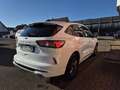 Ford Kuga ST-Line X/LED/B&O/NAVI/RFK/Winter-Paket2 Weiß - thumbnail 10