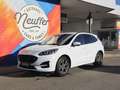 Ford Kuga ST-Line X/LED/B&O/NAVI/RFK/Winter-Paket2 Weiß - thumbnail 5