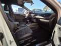 Ford Kuga ST-Line X/LED/B&O/NAVI/RFK/Winter-Paket2 Weiß - thumbnail 16