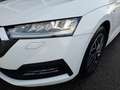 Skoda Octavia Combi 2,0 TDI DSG *17 ZOLL / LED MIT FLA & DYN BLINKER / VIRTUELL / NAVI / SPORT MASSAGESITZ / ACC* Weiß - thumbnail 13