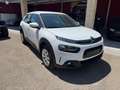 Citroen C4 Cactus Citroen C4 Cactus BlueHDi 100 S&S Feel Blanc - thumbnail 3
