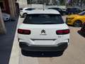 Citroen C4 Cactus Citroen C4 Cactus BlueHDi 100 S&S Feel Blanc - thumbnail 6
