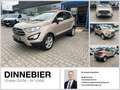 Ford EcoSport Cool&Connect AHK+Navi+Klima+Winterpaket Beige - thumbnail 1