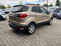 Ford EcoSport Cool&Connect AHK+Navi+Klima+Winterpaket Beige - thumbnail 5