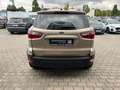 Ford EcoSport Cool&Connect AHK+Navi+Klima+Winterpaket Beige - thumbnail 6