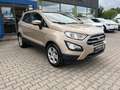 Ford EcoSport Cool&Connect AHK+Navi+Klima+Winterpaket Beige - thumbnail 4