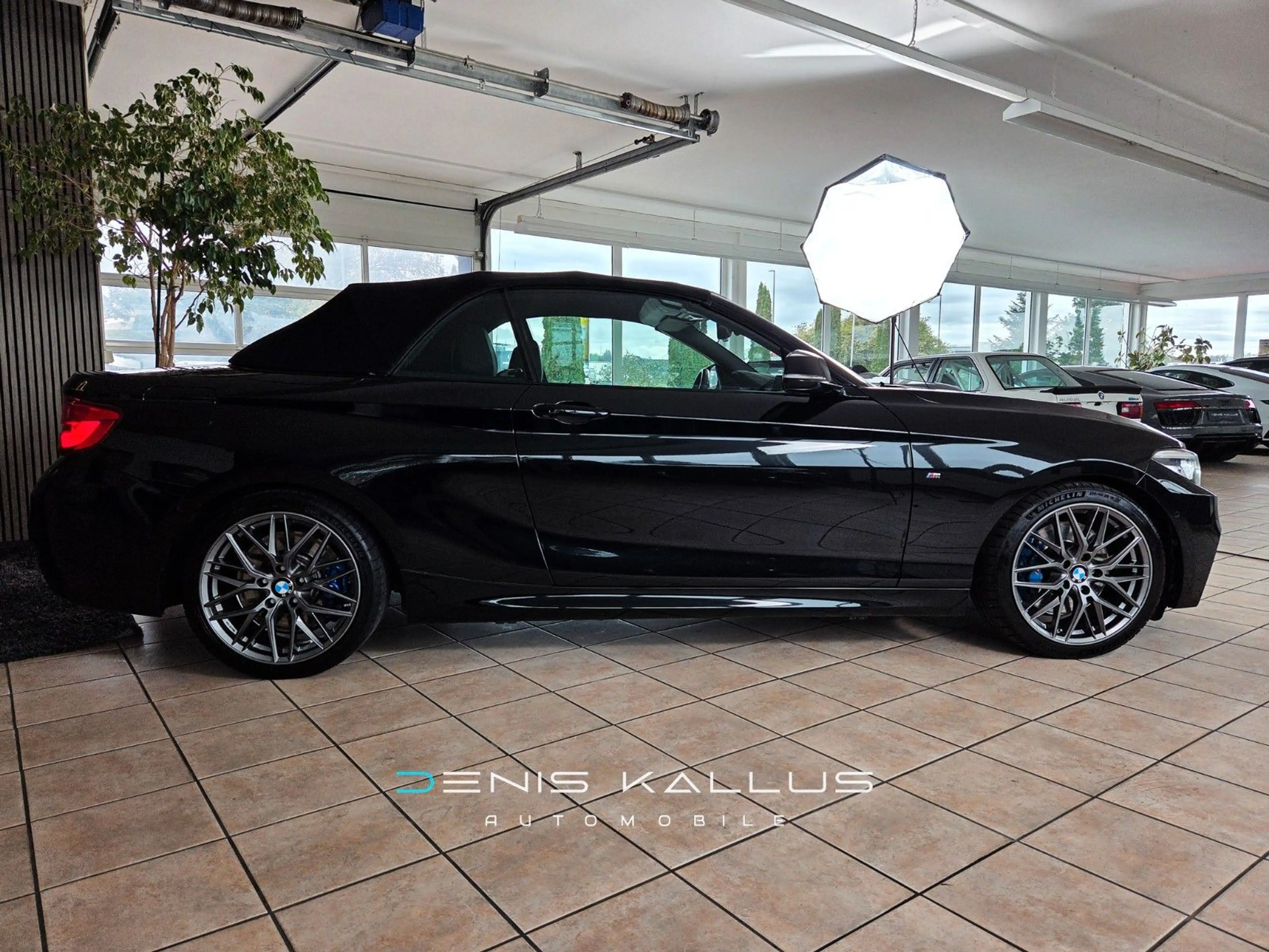 BMW 240 Cabrio Aut. Remus*Leder*Gepflegt*18" — photo 14