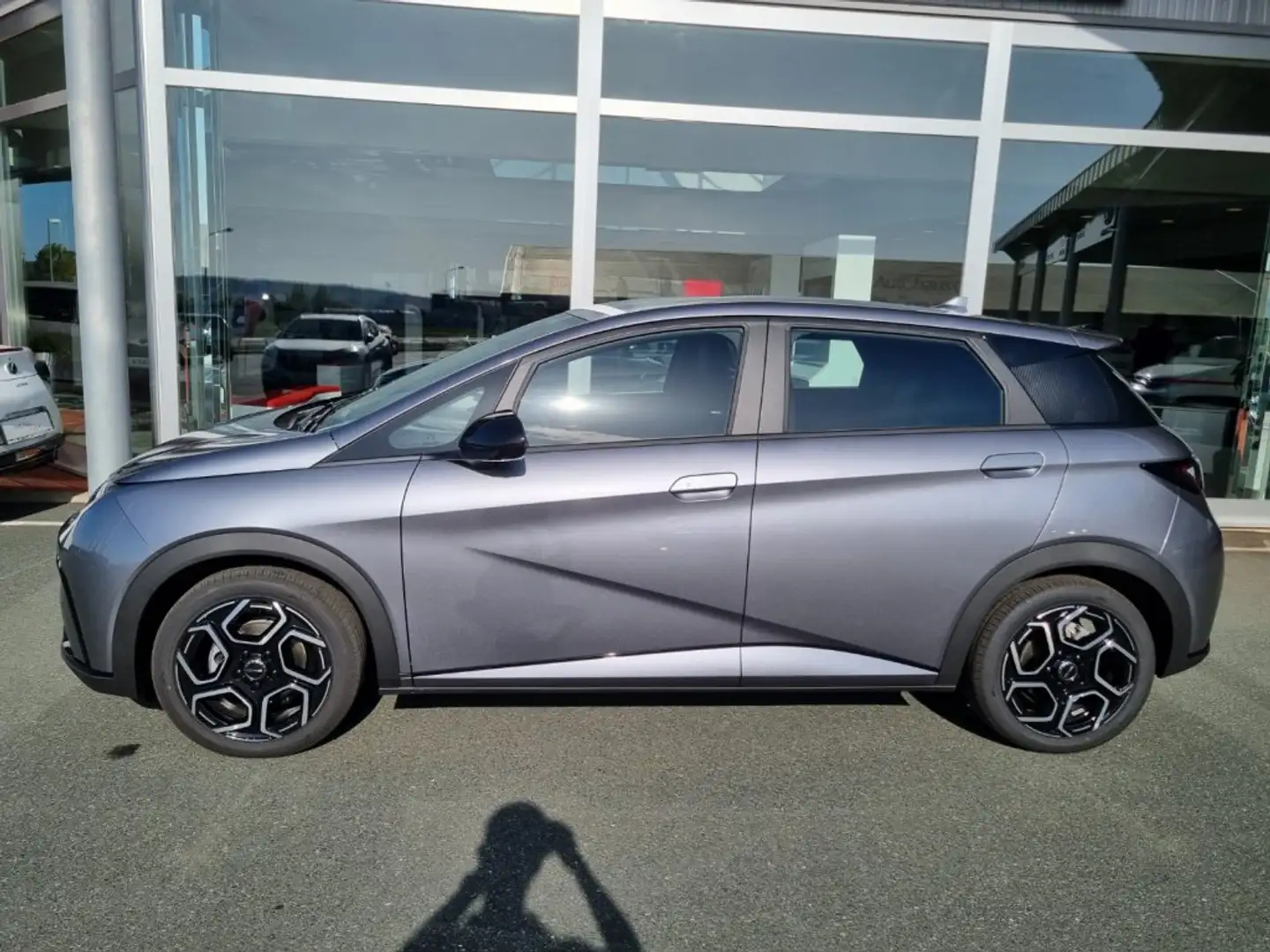 BYD Dolphin Comfort *AKTION* Gris - 2