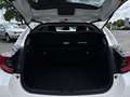 Toyota Yaris 116h Design 5p MY22 Blanc - thumbnail 9