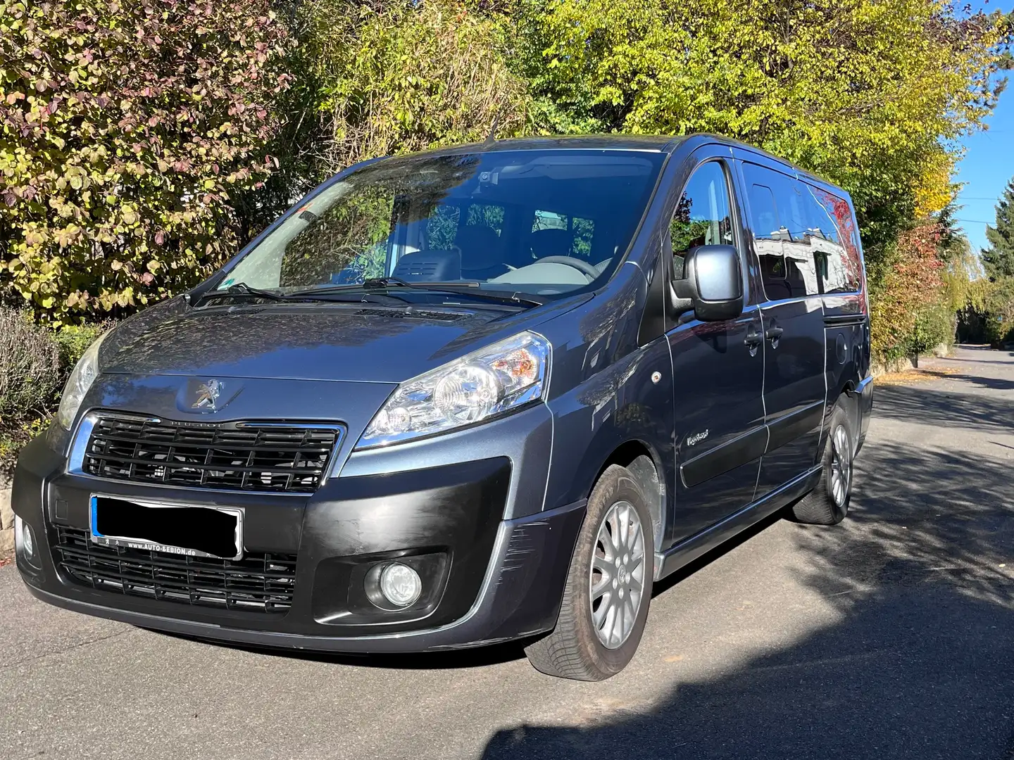 Peugeot Expert Expert Tepee L2H1 (7-Si.) Vagabond ( Camper ) Grau - 1