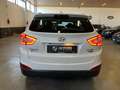 Hyundai iX35 1.7 crdi Comfort 2wd Neopatentati Bianco - thumbnail 6