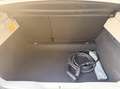 Renault ZOE R135 Intens 52 kWh Camera CCS-Snellader Koop ACCU Wit - thumbnail 14