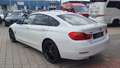 BMW 430 430 d xDrive, TÜV+Service NEU, Weiß - thumbnail 3