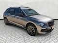 Skoda Kamiq 1.0 TSI DSG Selection Kamera / Kessy / 17" Grau - thumbnail 16