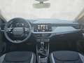 Skoda Kamiq 1.0 TSI DSG Selection Kamera / Kessy / 17" Grau - thumbnail 12