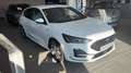 Ford Focus 1.0t ecoboost h ST-Line 125cv Bianco - thumbnail 3