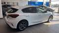 Ford Focus 1.0t ecoboost h ST-Line 125cv Bianco - thumbnail 5