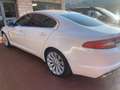 Jaguar XF 2.7d Premium Luxury auto bijela - thumbnail 7