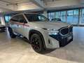 BMW XM Label Red 29,4kWh Aut. Grau - thumbnail 4