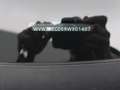 Volkswagen Golf Variant Golf Variant Life Business Premium 1.5eTSI 116PK * Zwart - thumbnail 19