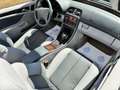 Mercedes-Benz CLK 200 Cabrio Sport Blu/Azzurro - thumbnail 11