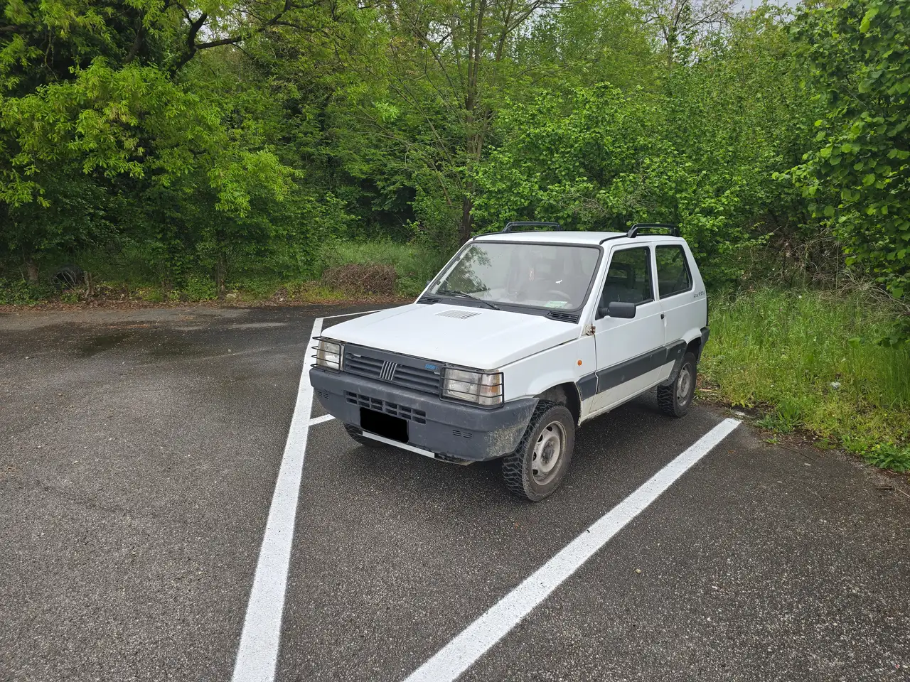 Fiat Panda 1.0 Trekking 4x4 cat., foto 1