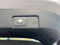 Ford Puma 1.0i Ecoboost Hybrid 155pk ST-Line X , PANO dak , Gris - thumbnail 10