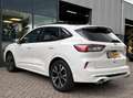 Ford Kuga 1.5 EcoBoost ST-Line X 150PK Panodak Winterpack 18 Wit - thumbnail 11