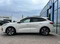 Ford Kuga 1.5 EcoBoost ST-Line X 150PK Panodak Winterpack 18 Wit - thumbnail 7