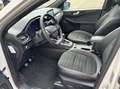 Ford Kuga 1.5 EcoBoost ST-Line X 150PK Panodak Winterpack 18 Wit - thumbnail 3