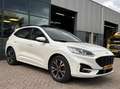 Ford Kuga 1.5 EcoBoost ST-Line X 150PK Panodak Winterpack 18 Wit - thumbnail 9