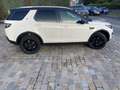 Land Rover Discovery Sport Discovery Sport SD4 Aut. HSE Wit - thumbnail 6
