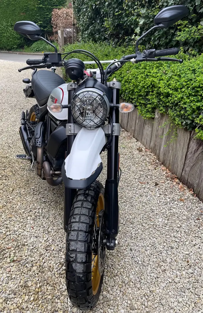 Ducati Scrambler Biały - 2