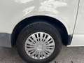 Volkswagen T5 Weiß - thumbnail 13
