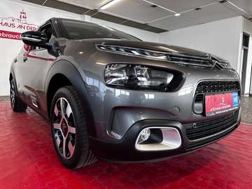 C4 Cactus VTR Sport//Zahnriemen Neu//Apple