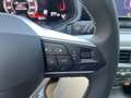 SEAT Ibiza 1.0 TSI S&S Special Edition 115 Gris - thumbnail 14