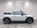 MINI Cooper Cabrio XENON|H/K|SHZ|TEMPO|WENIGK KM Silber - thumbnail 15