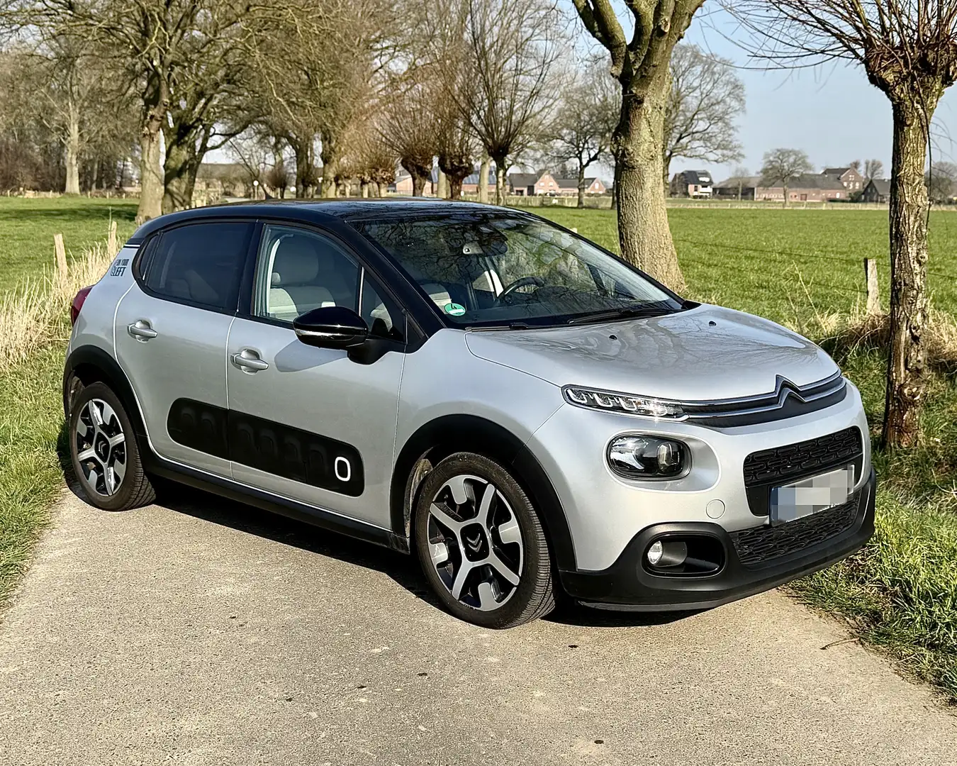 Citroen C3 BlueHDi 100 S&S SHINE - 2
